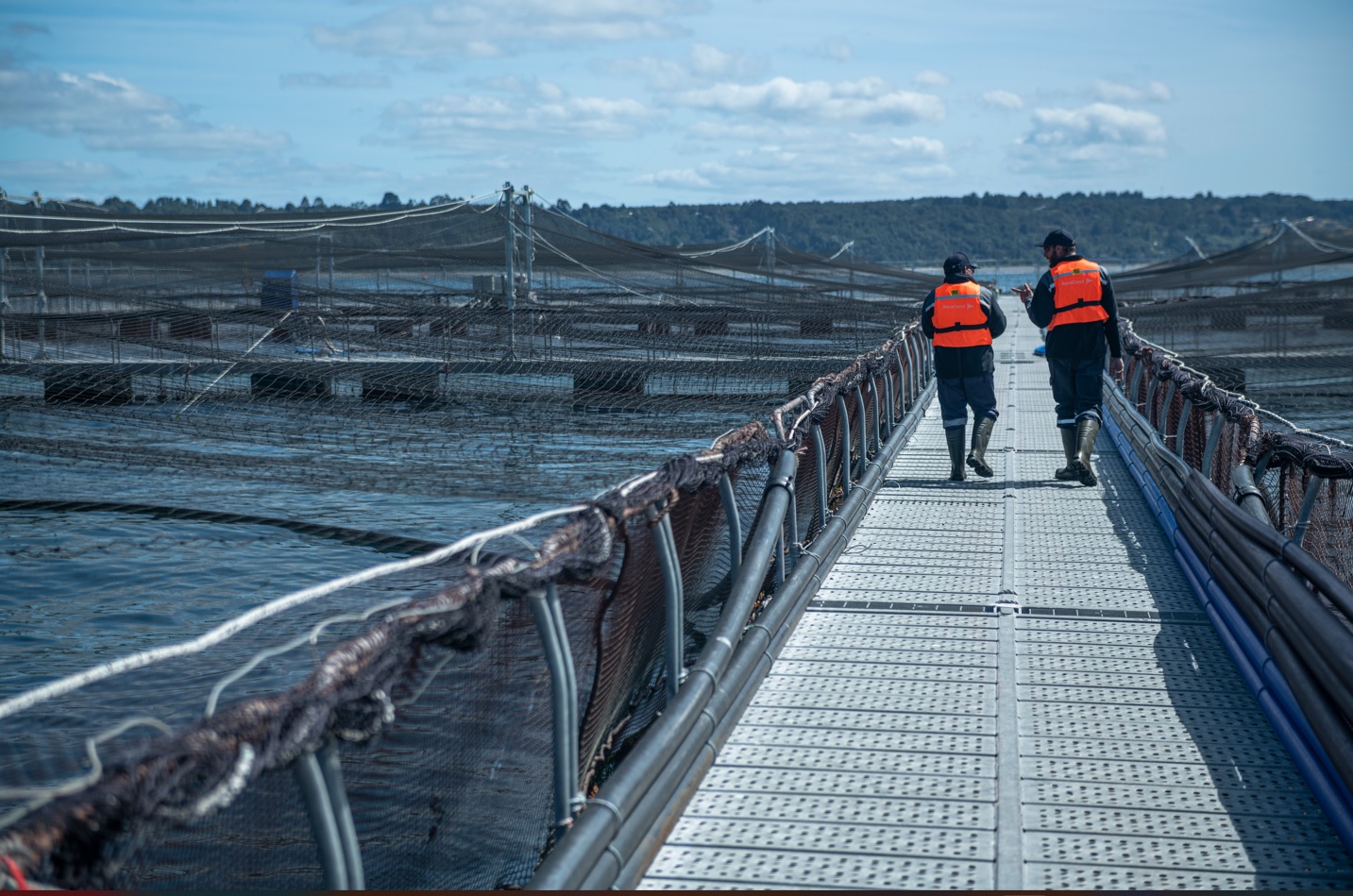 Cuadrilla trabajando en pontón